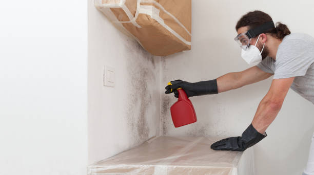 Professional Basement Mold Removal technician working in Suwanee, GA